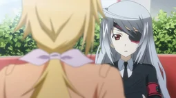 IS: Infinite Stratos 2