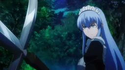 Hagure Yuusha no Estetica