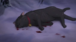 Darker than Black: Ryuusei no Gemini