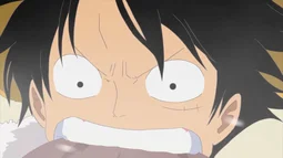 One Piece Movie 09: Episode of Chopper Plus - Fuyu ni Saku, Kiseki no Sakura