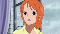 One Piece Movie 09: Episode of Chopper Plus - Fuyu ni Saku, Kiseki no Sakura