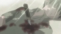 Shingetsutan Tsukihime