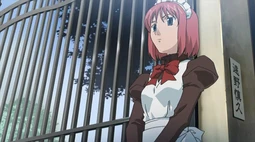 Shingetsutan Tsukihime