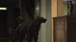 Mahoutsukai no Yome: Hoshi Matsu Hito